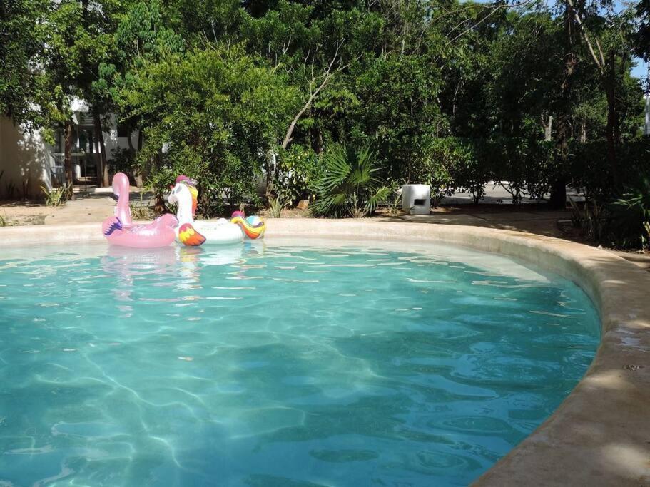 Departamento Residencial Con Alberca 칸쿤 외부 사진